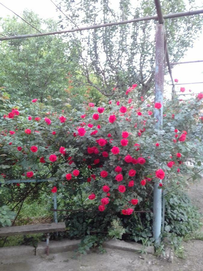 Udabno Naili Ξενοδοχείο Εξωτερικό φωτογραφία